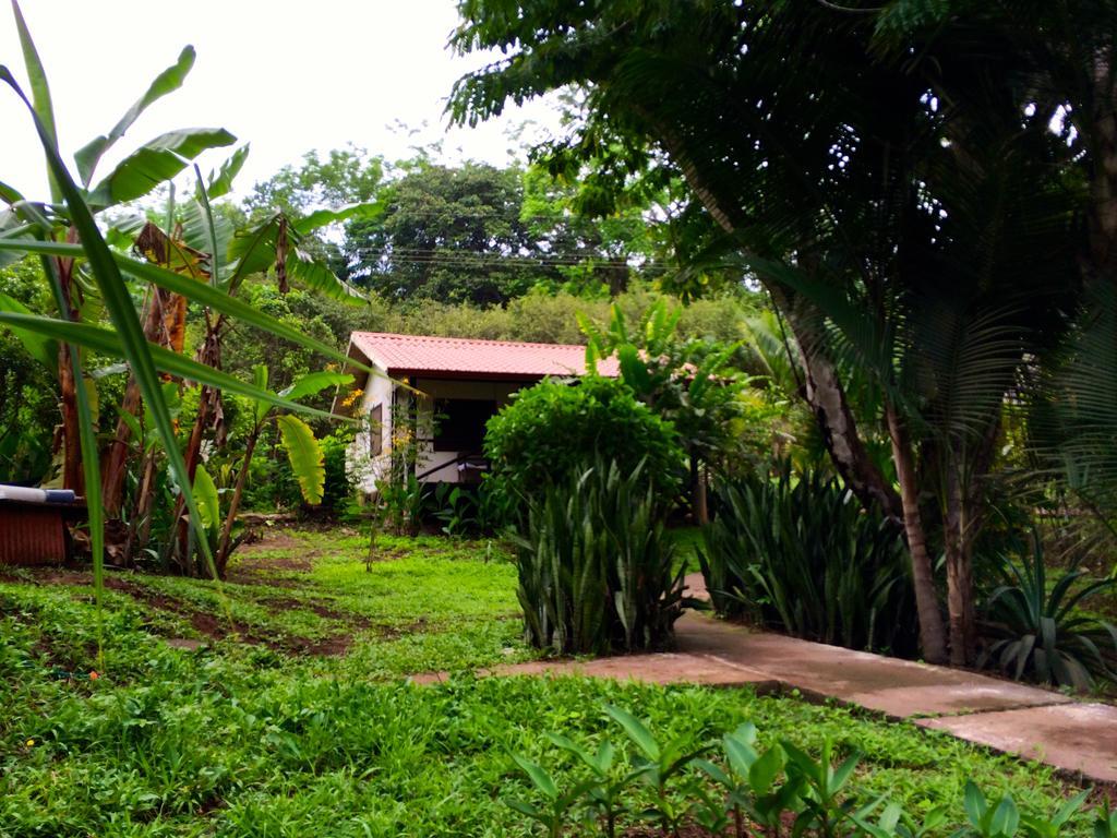 Hotel Las Luces Nicoya Exterior foto