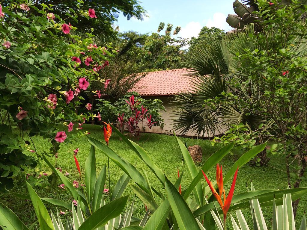 Hotel Las Luces Nicoya Exterior foto